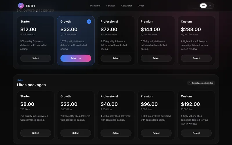 TikRise package grid: followers and likes packages with prices